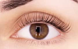 Комплексные услуги "Lami Set" - The Lashes